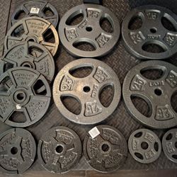 160 Pound CAP and Gold's Gym Weight Plates 