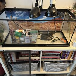 Terrarium Setup With 20 Gallon Long Tank