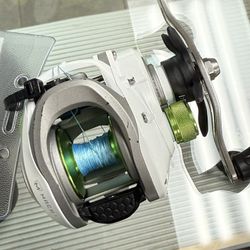 Lews Fishing Reel