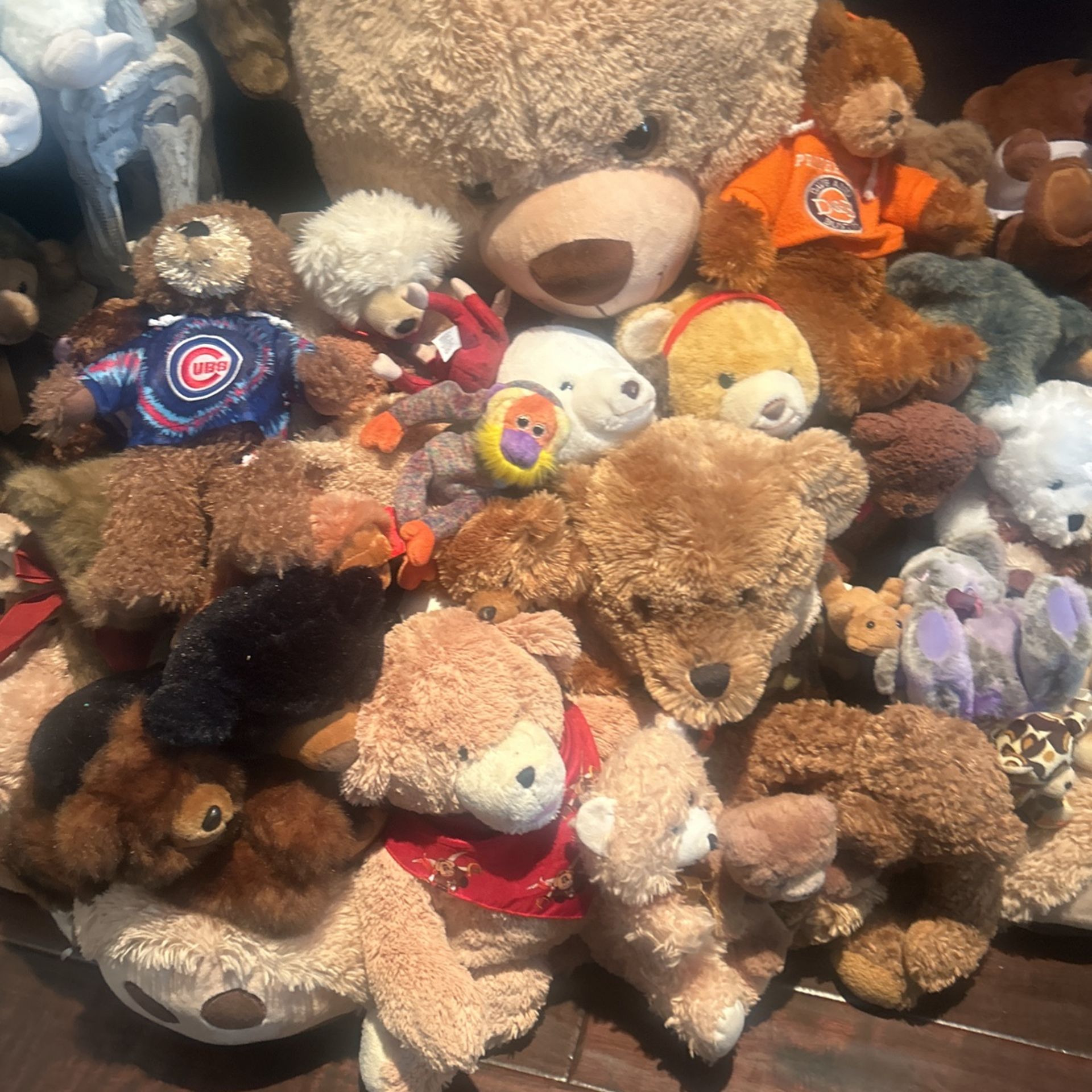 Bears Bears More Bears