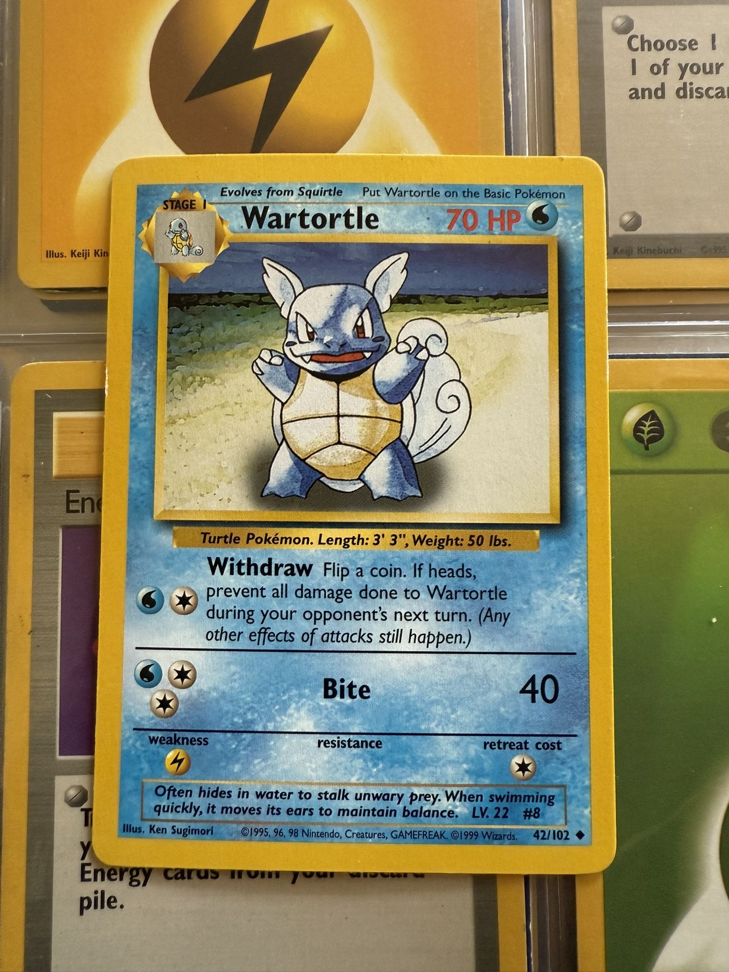 Wartortle