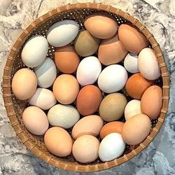 Eggs