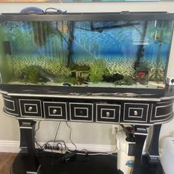 60 Gallon Fish Tank 