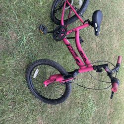 20 Inch Girls Bicycle 