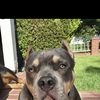 Ernie