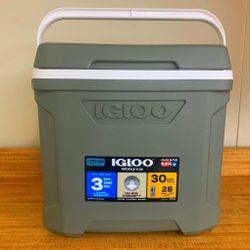 Igloo Profile II 30 Qt Cooler – Summer Camping Tailgating Beach Trips – USA Made