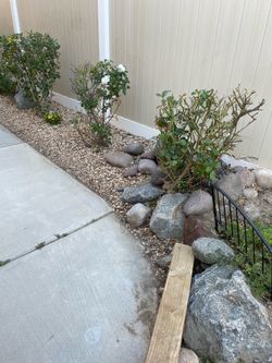 Landscape rocks