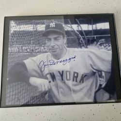 Joe dimaggio Signed 8x10