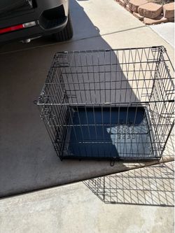 Kennel