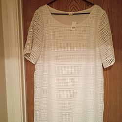 Women's Size XL Gap Dress Color Off White Pick Up In Florence KY 
