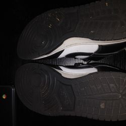 Nike panda dunks used
