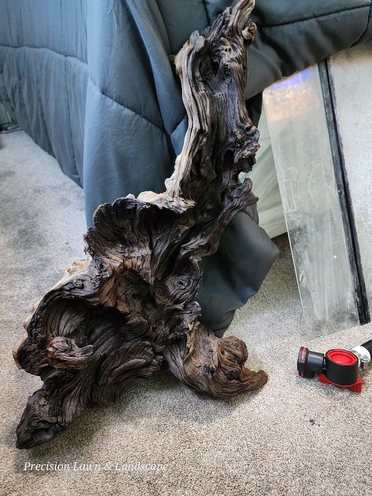 Beautiful Piece Of Driftwood