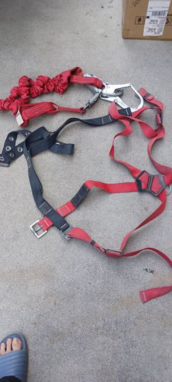 Harness