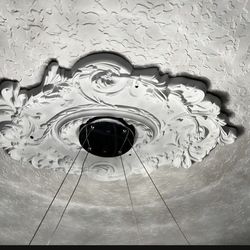 Floral Light Fixture Medallion