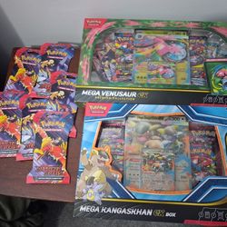 Pokemon Bundle 