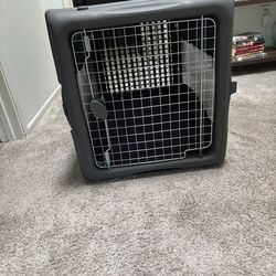 Dog Travel crate & pad