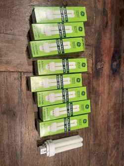 Light Bulbs- $25 For All