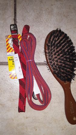 Brush leash and collar