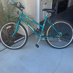 Dirty Mountain Bike But Works Just Great!