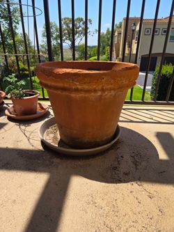 Large terra cotta planter with brain plate