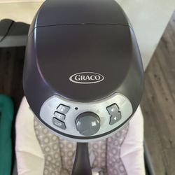 Graco Infant Swing