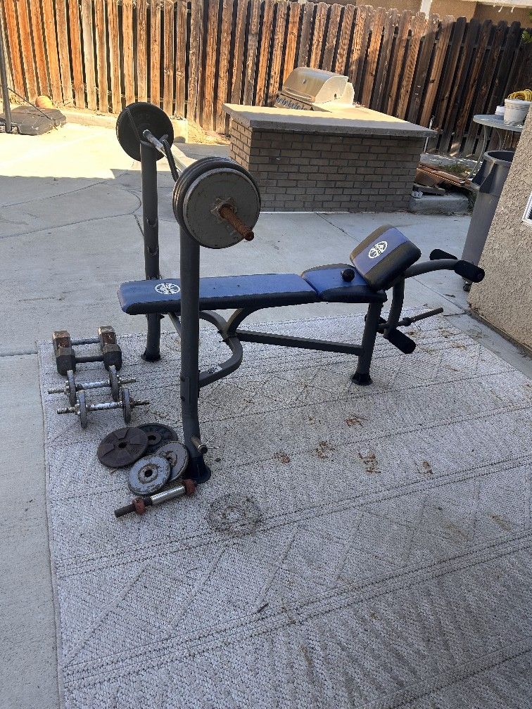 Bench and Weights