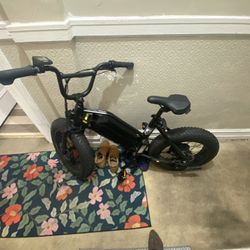 Rip Racer R Juiced Bike 294miles On 