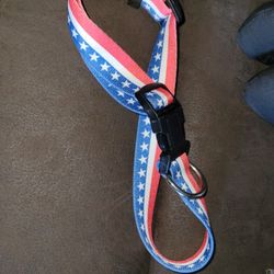 Dog Collar Sz  L