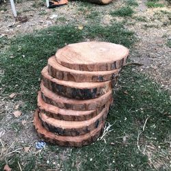 Wood Slices For Sale
