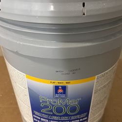 FLAT PROMAR 200  Extra White 