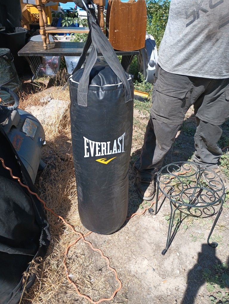 Everlast 70 Lbs Punching Bag