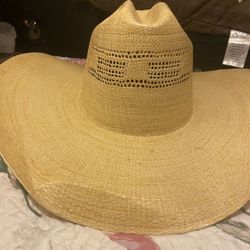 Cowboy and normal hats 