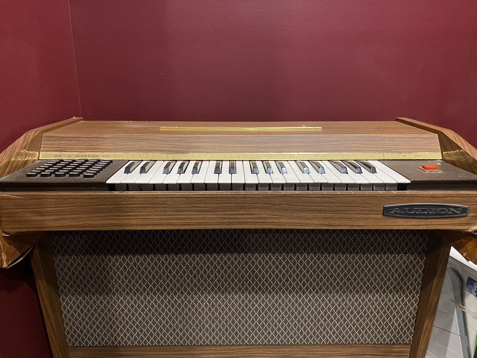 Electric Organ - Audion