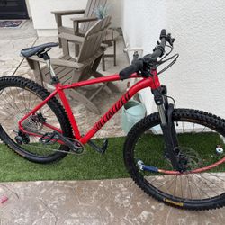 Specialized Rock Hopper