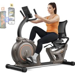 Niceday Recumbent Exercise Bike - 400 LB Capacity - Fully Assembled