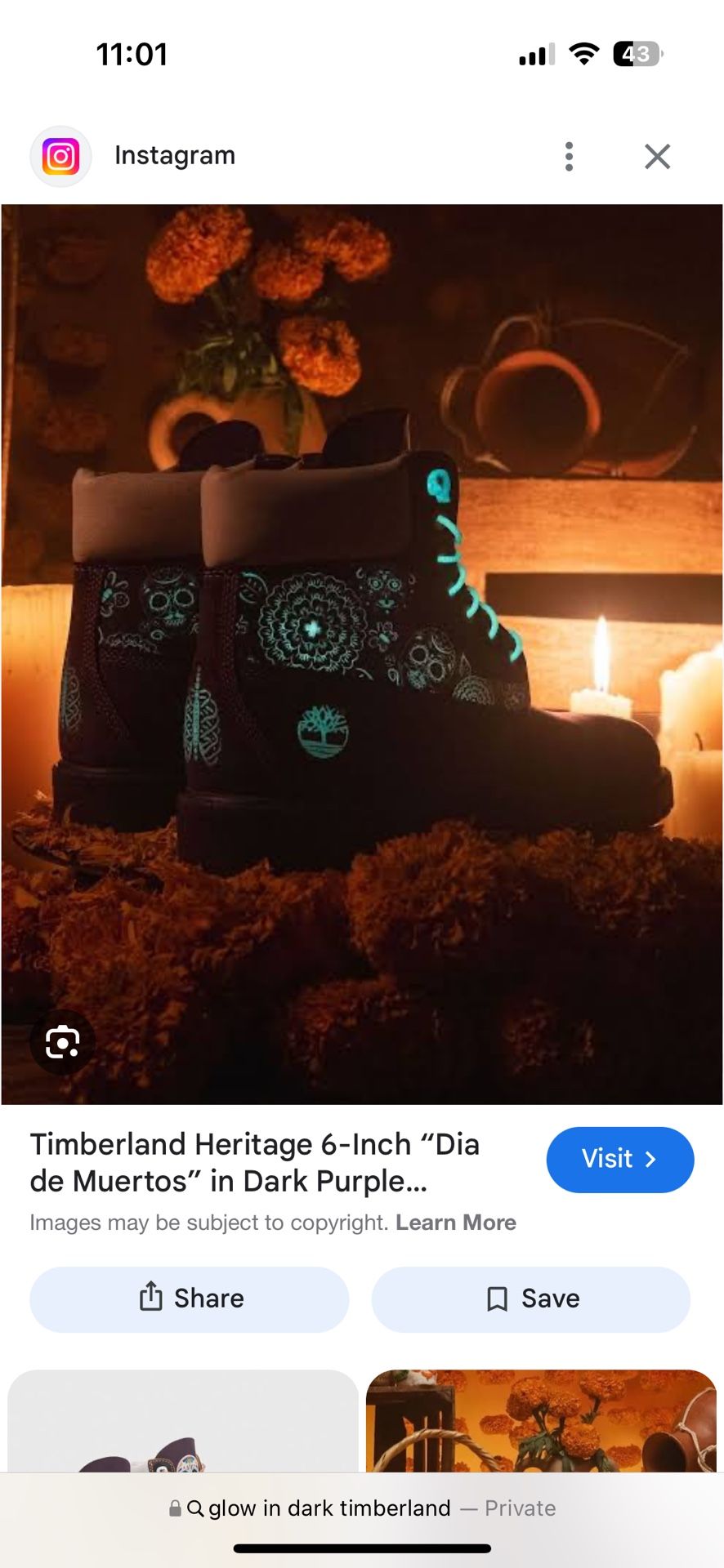 timberlands day of the dead sz 10.5