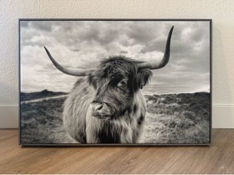 Large Framed Black & White Highland Cow Wall Art