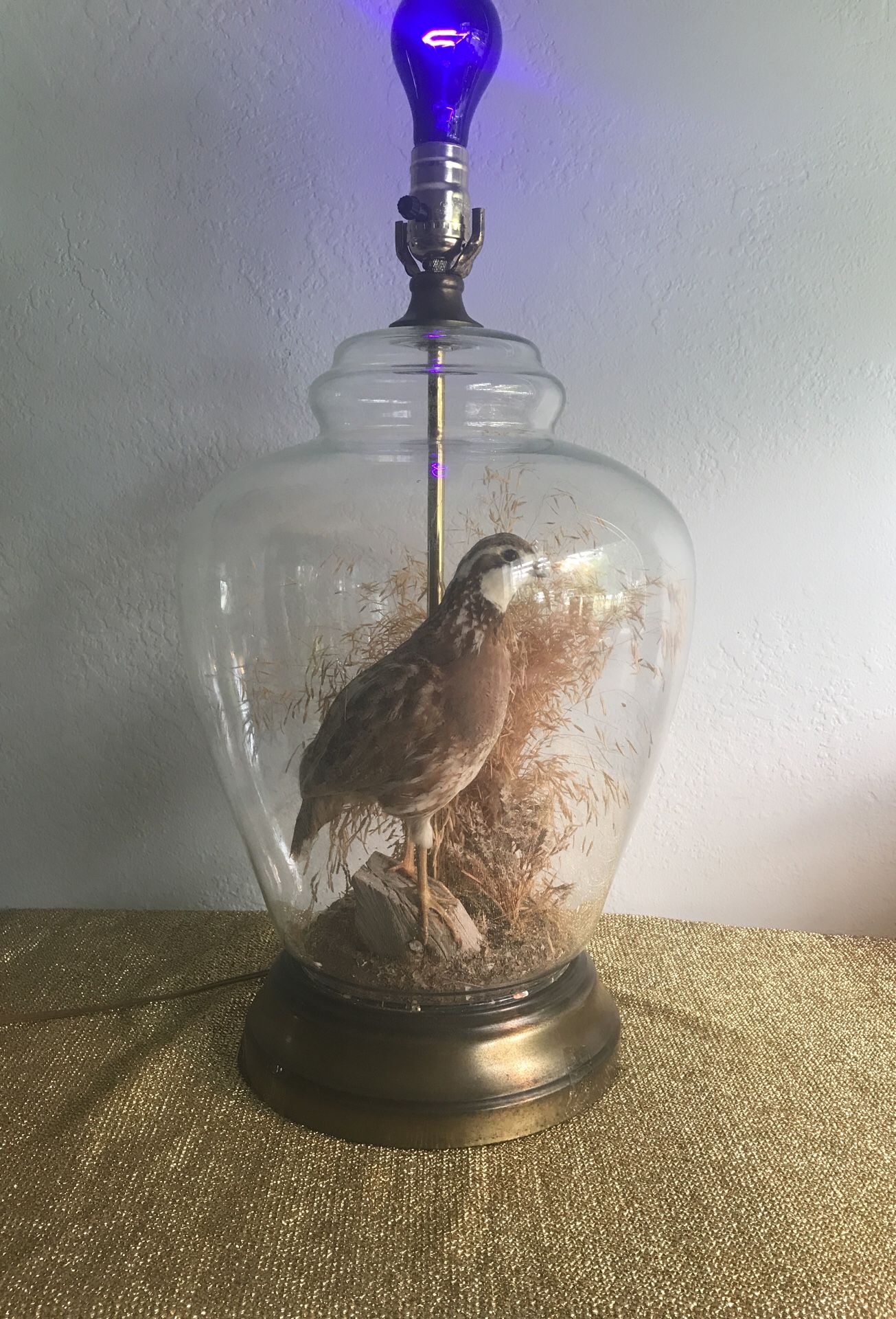 Taxidermy lamp vintage no shade as is