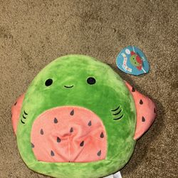 Squishmallow Plushy