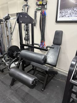 Bodymasters Seated Leg Curl