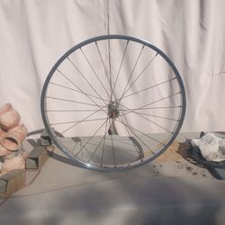Schwinn 24 Inch Rim