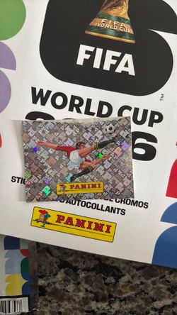 Panini sticker