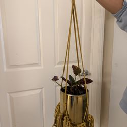 Hanging yellow macrame plant holder