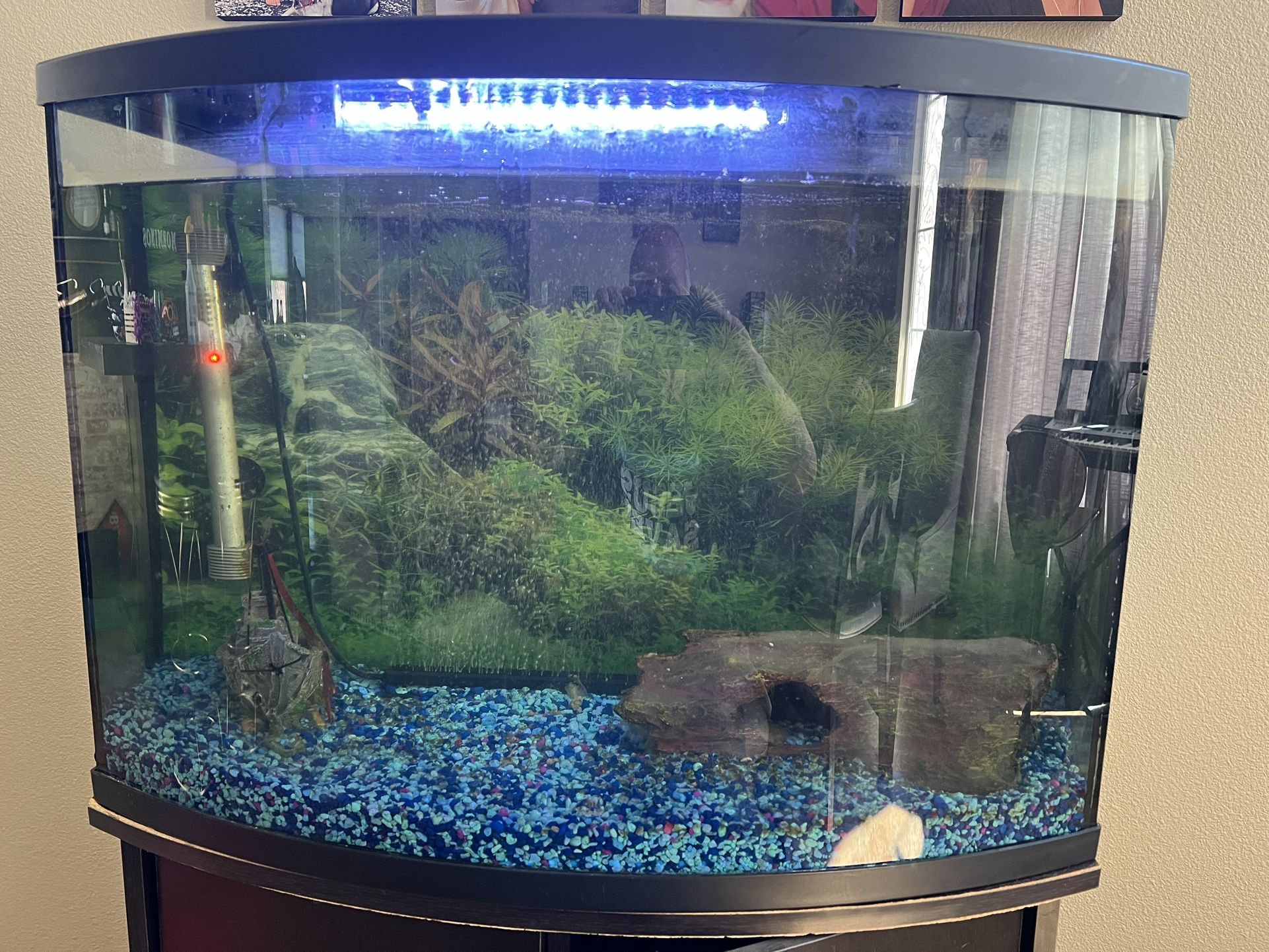 35 Gallon Fish Tank With Stand, Pump Ect