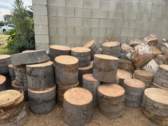 Palm Tree Stumps/ Logs