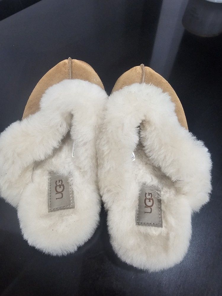UGG slippers Size 7 NEW
