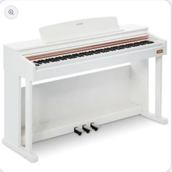 Beautiful Digital Piano. 