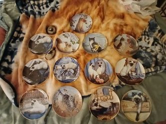 Porcelain decorative cat plates by Daphne Baxter : Limited Edition And Irene Spencer