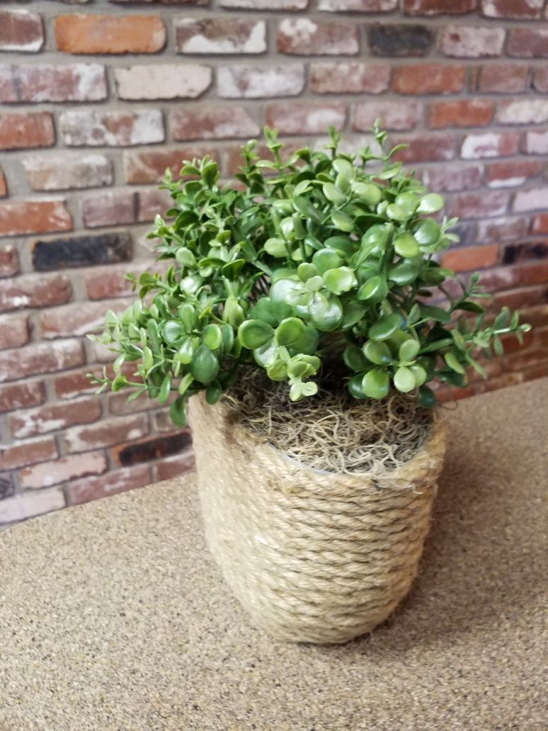 Artificial boxwood plant in rope container