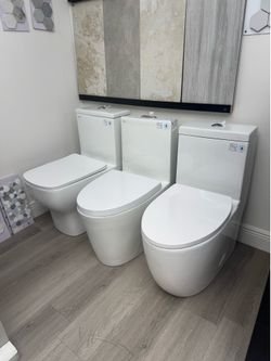 One Piece Toilet
